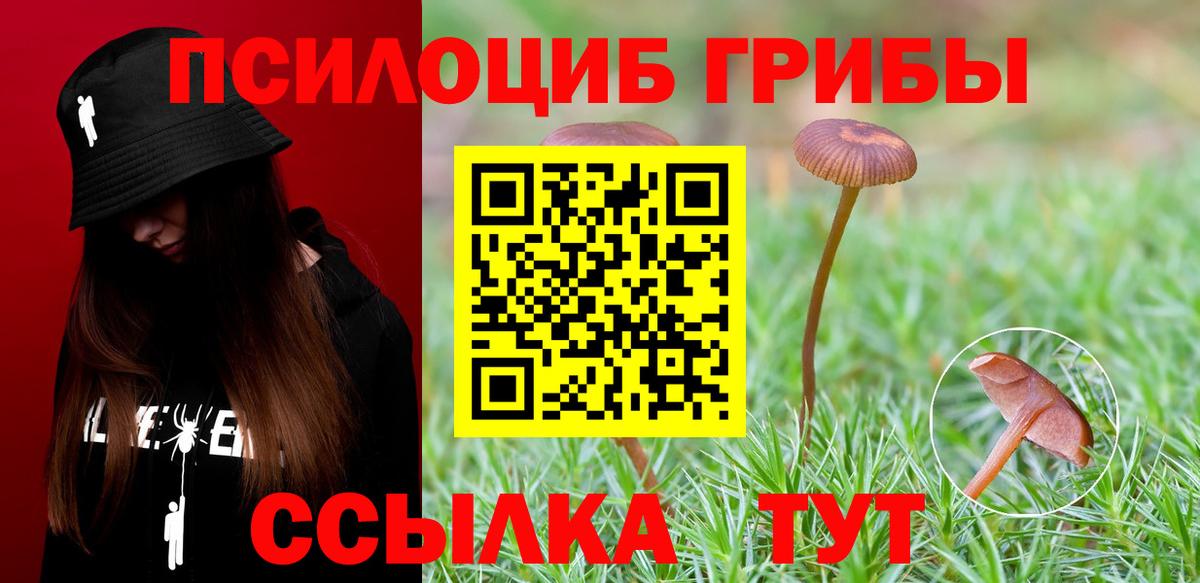 Псилоцибиновые грибы MAGIC MUSHROOMS Соль-Илецк